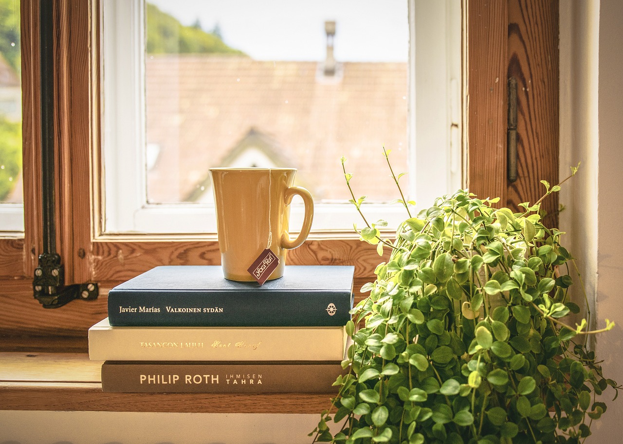 book, read, tee, literature, window sill, houseplant, window frames, novel, home, apartment, cup, book, book, book, book, home, home, home, home, home, apartment