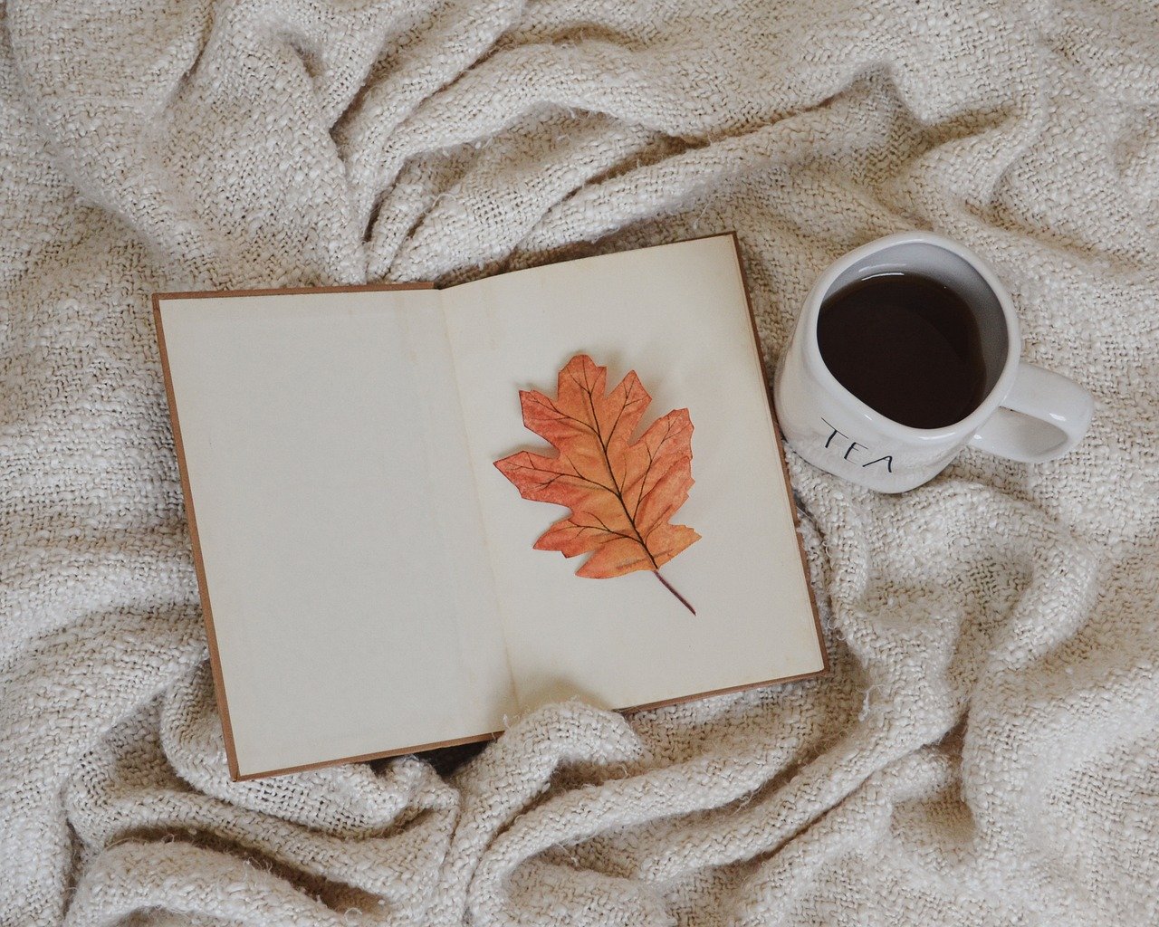 book, leaf, tea, autumn, fall, nature, reading, beverage, season, top view, cozy, book, book, book, book, book