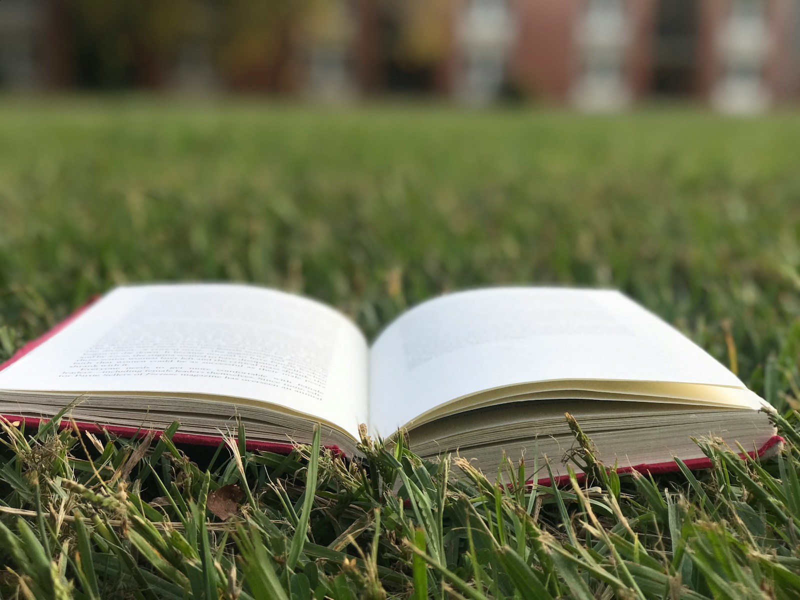 an open book sitting on top of a lush green field